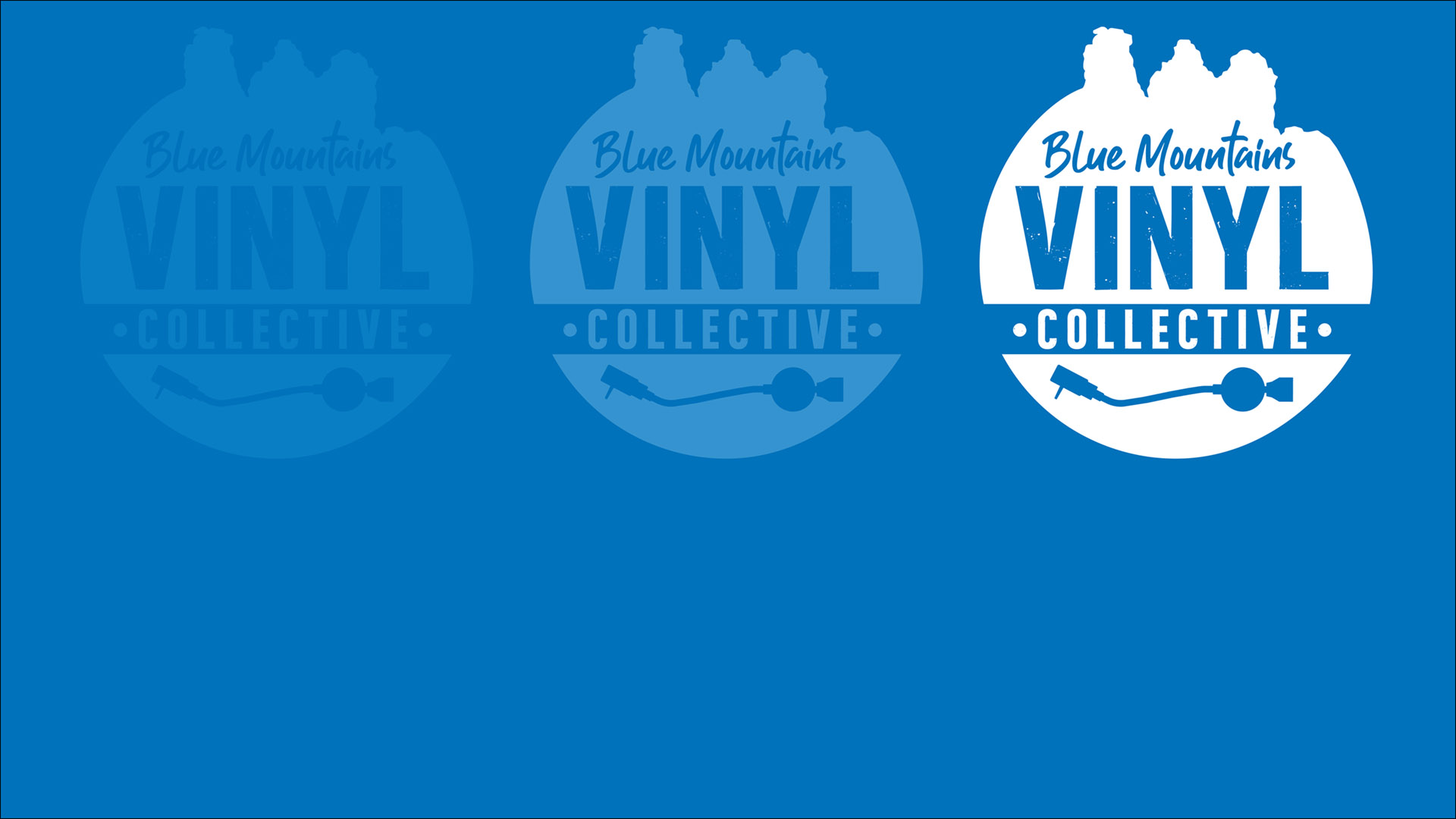 Blue Mountains Vinyl Collective
